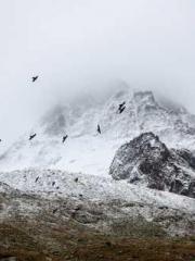 Ling Hao Qin Yuxin R