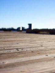 A Spicy Wife from th