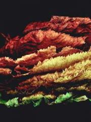 One Pregnancy, Two B