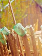 Transmigrated to the