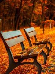 Lu Zongapos;s Hidden