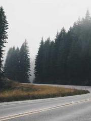 I have seven fairy g