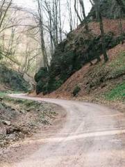 One Night Marriage P