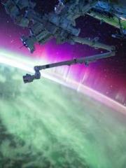 Ling Hao Qin Yuxin R