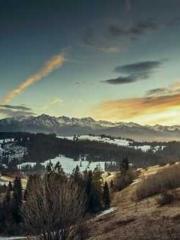 Lu Zongapos;s Hidden