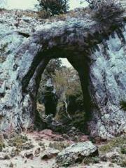 Girlfriends  lt;/pgt