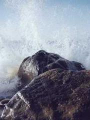 Double Blessing: CEO